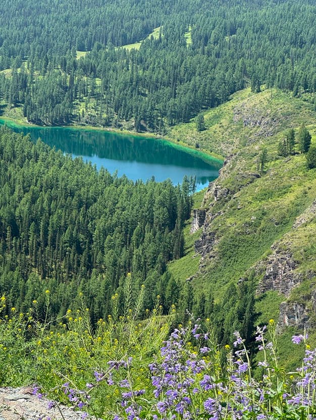 Тгк Путь Странника Промо3