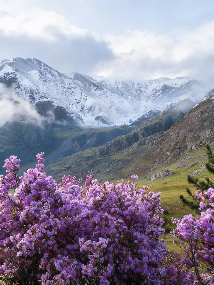 Тгк Путь Странника Промо1